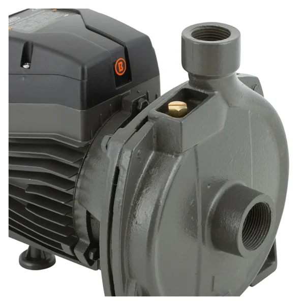 Electrobomba Bercatti 1.5 Hp Superficie Centrífuga Mod CPM170B - Imagen 2