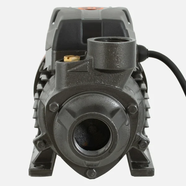 Electrobomba Bercatti 0.5 Hp Superficie Periférica Mod QB60B - Imagen 2