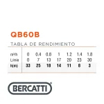 Electrobomba Bercatti 0.5 Hp Superficie Periférica Mod QB60B - Imagen 3
