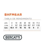 Electrobomba Bercatti 3 Hp Superficie Gran Caudal Centrífuga Mod BHFM6AR - Imagen 3