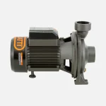 Electrobomba Bercatti 2 Hp Superficie Centrífuga Gran Caudal Mod BHFM6B - Imagen 2