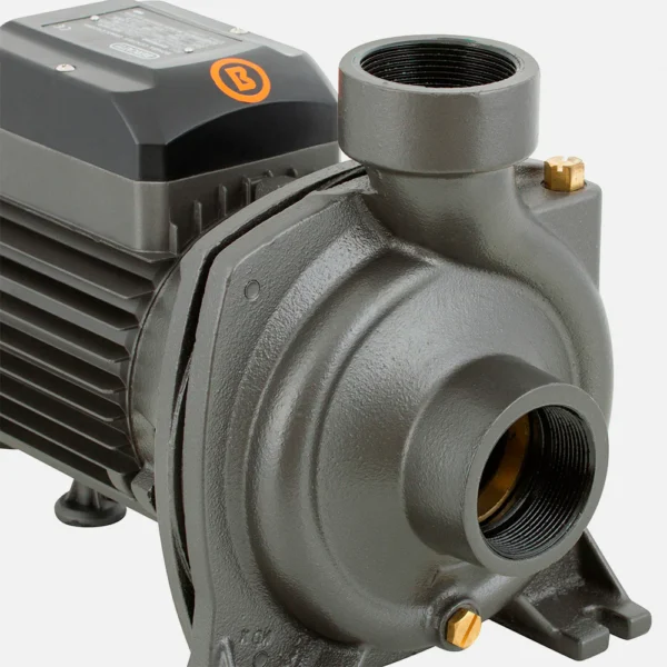 Electrobomba Bercatti 1.5 Hp Superficie Centrífuga Gran Caudal Mod BHFM6C - Imagen 3