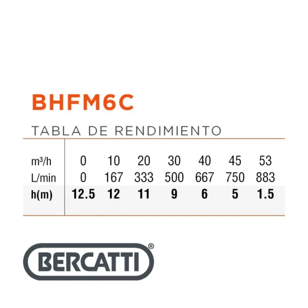 Electrobomba Bercatti 1.5 Hp Superficie Centrífuga Gran Caudal Mod BHFM6C - Imagen 4