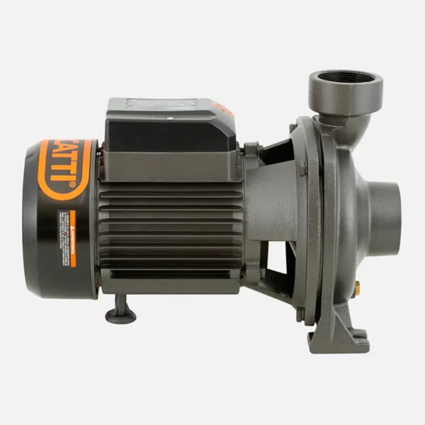 Electrobomba Bercatti 1.5 Hp Superficie Centrífuga Gran Caudal Mod BHFM6C - Imagen 2